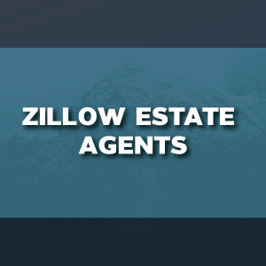 Zillow Estate Agents - 494k records